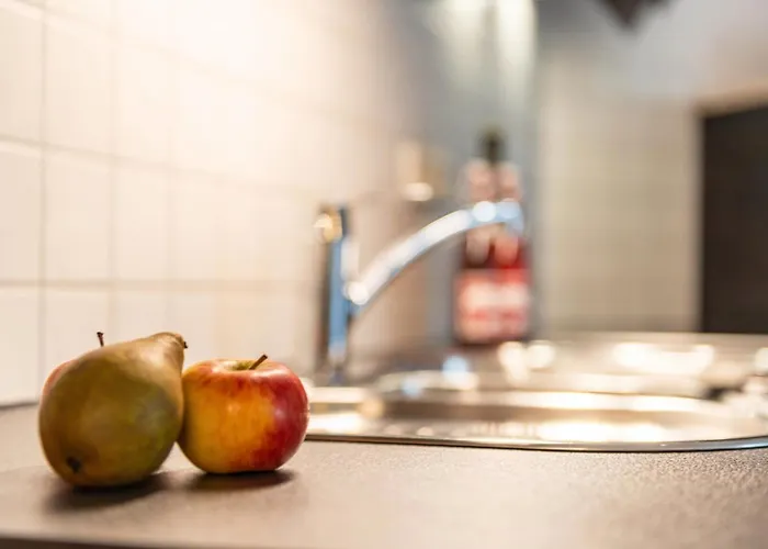 Donauliebe * 锡格马林根